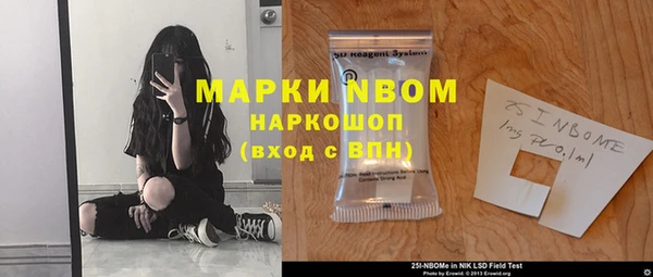 трава Новозыбков