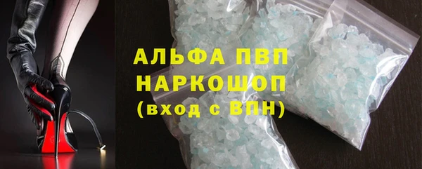 трава Новозыбков