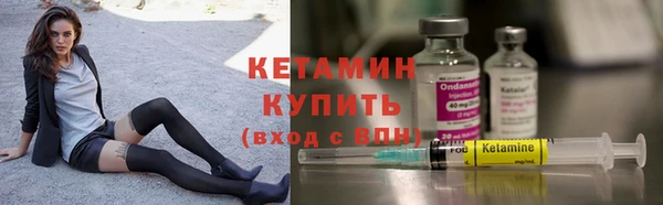 трава Новозыбков