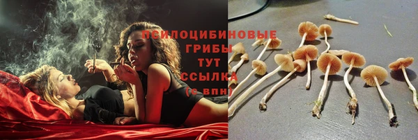 альфа пвп Нефтекумск