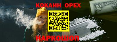 стафф Гай