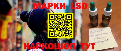 стафф Гай