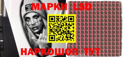 стафф Гай
