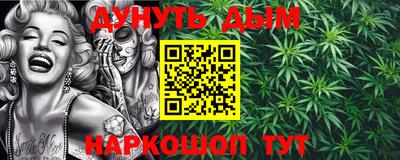 стафф Гай