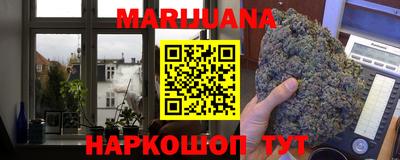 стафф Гай