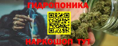 стафф Гай
