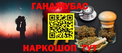 стафф Гай