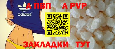 стафф Гай