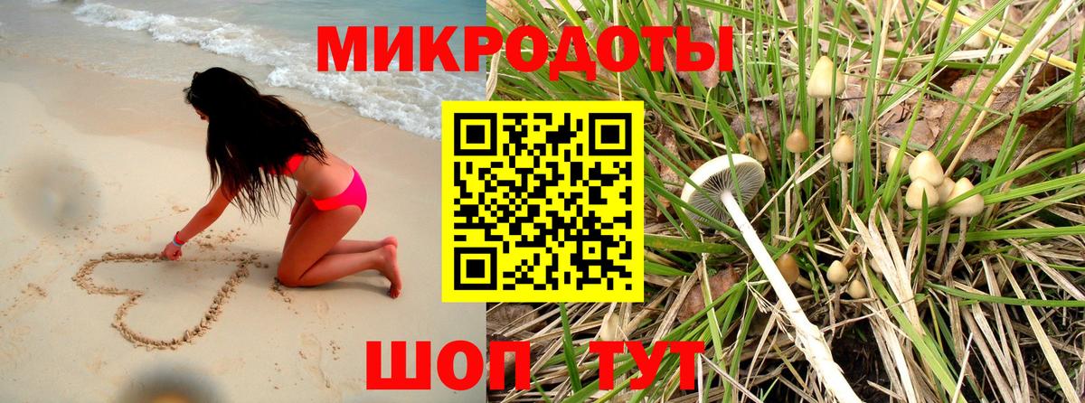 Псилоцибиновые грибы Psilocybine cubensis Казань